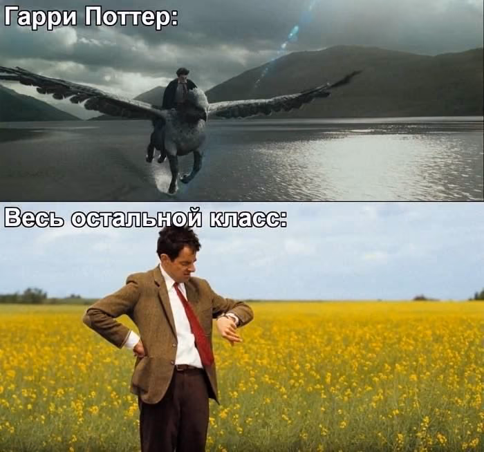 25f12f672083e984e4f09715d2e5475f.avif