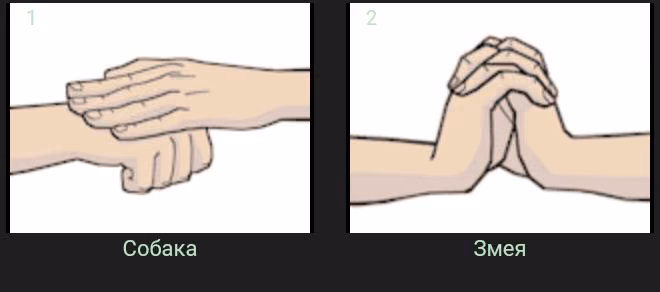25fe5b4d2ec75b51e026e73c2968d6c4.jpg