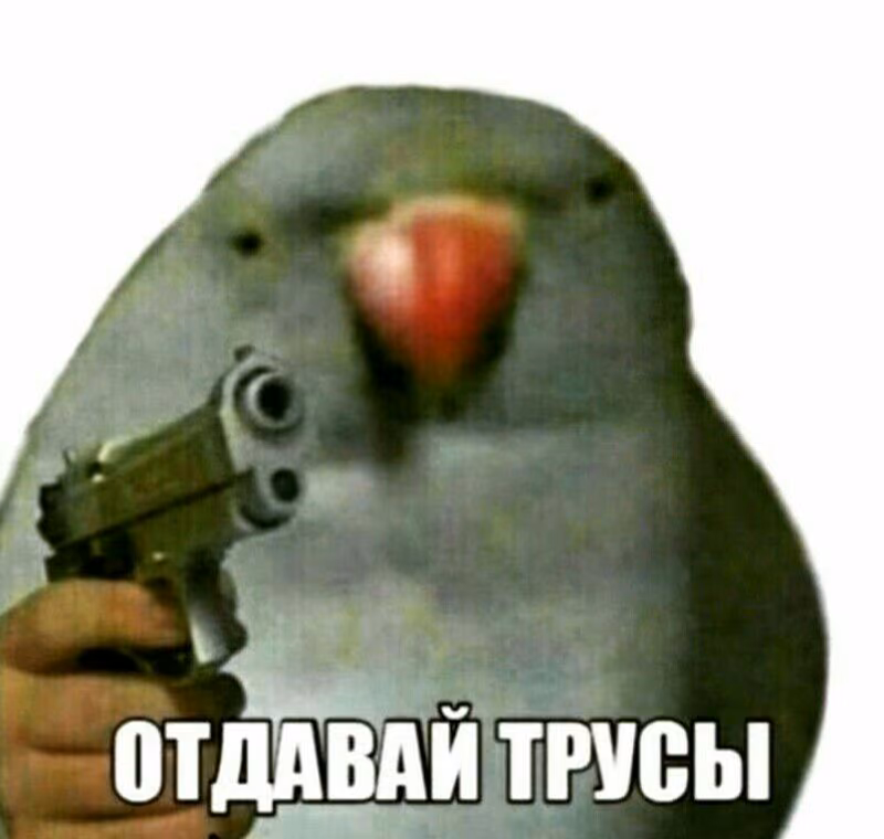 25feed893b1e5e0adde0b1b532a2c18c.jpg