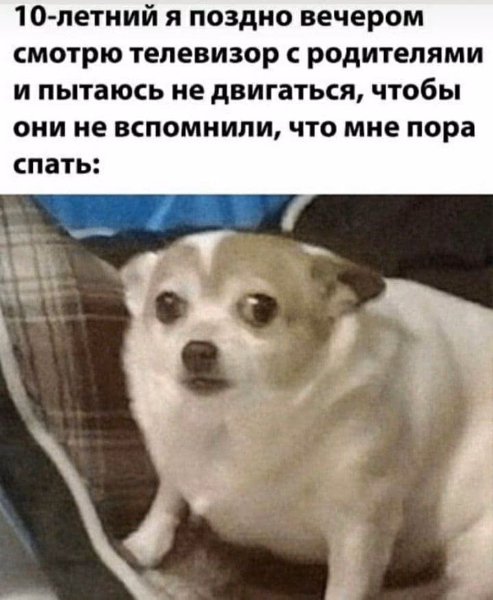 25ff6a1467e6e4ef37809c4ce08e2740.jpg