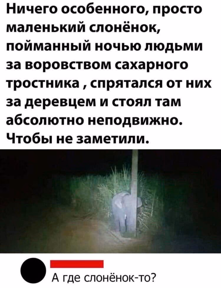 26010928dd658c32f1a0c79e2897ffaf.jpg
