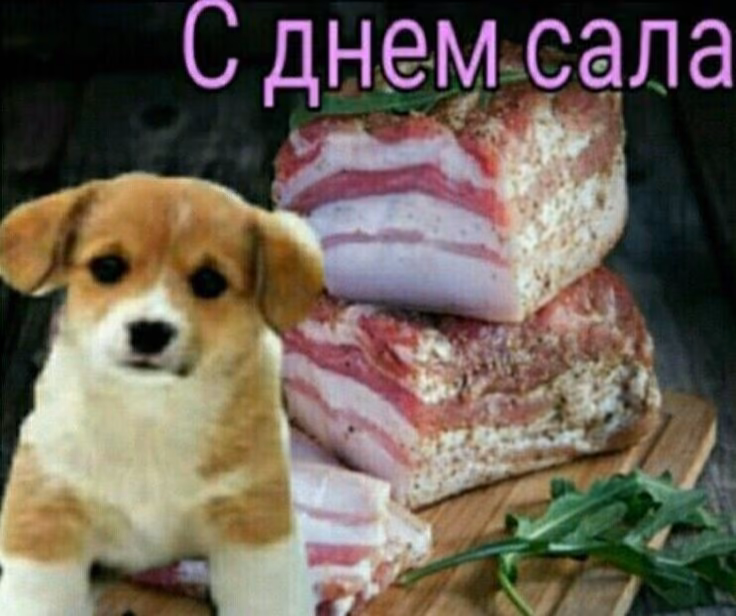 2605623fe09adf516ef0afefa7380579.avif