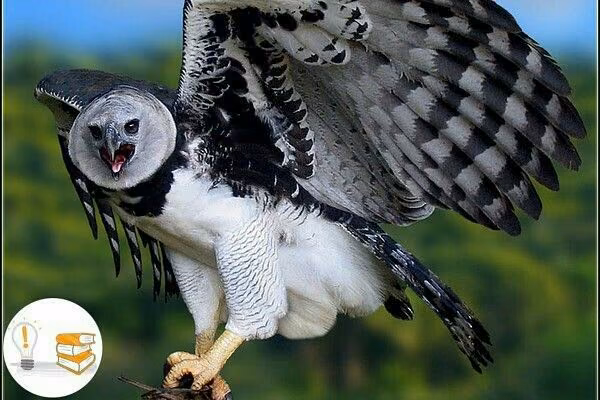 261621639dd073bab8fd48a13a113058.avif