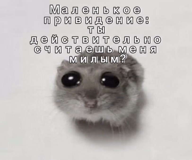 26169b01cf39a4bf1c57bbe9ff72e234.jpg