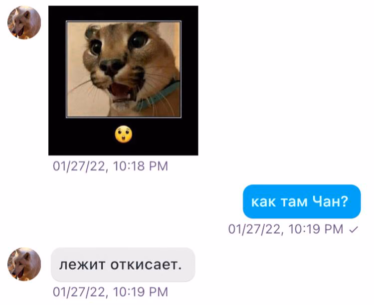 26386e954d2b6542177fa84042bd2841.avif