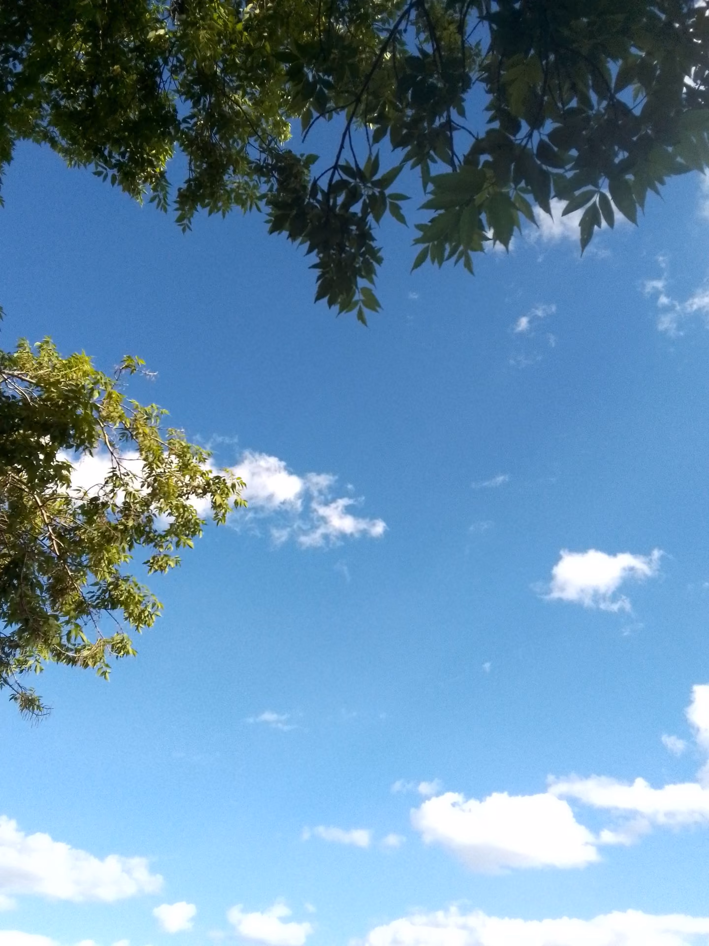 263d132d995c7c76284bf37900d0726a.avif