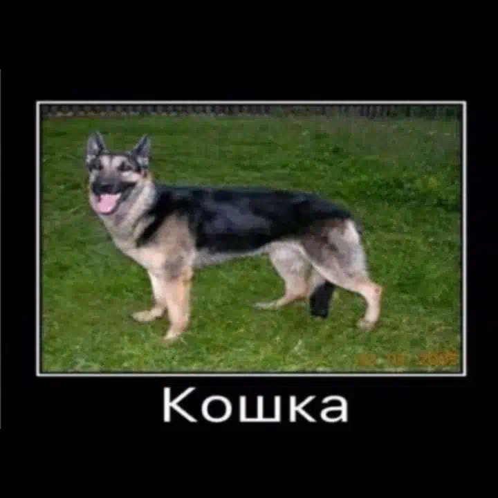 26474fe951c3a003fa03bb8ad3133c98.jpg
