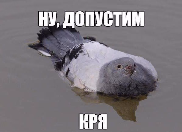 264b1085550ff1fbc26e7926ce8dd0c0.avif