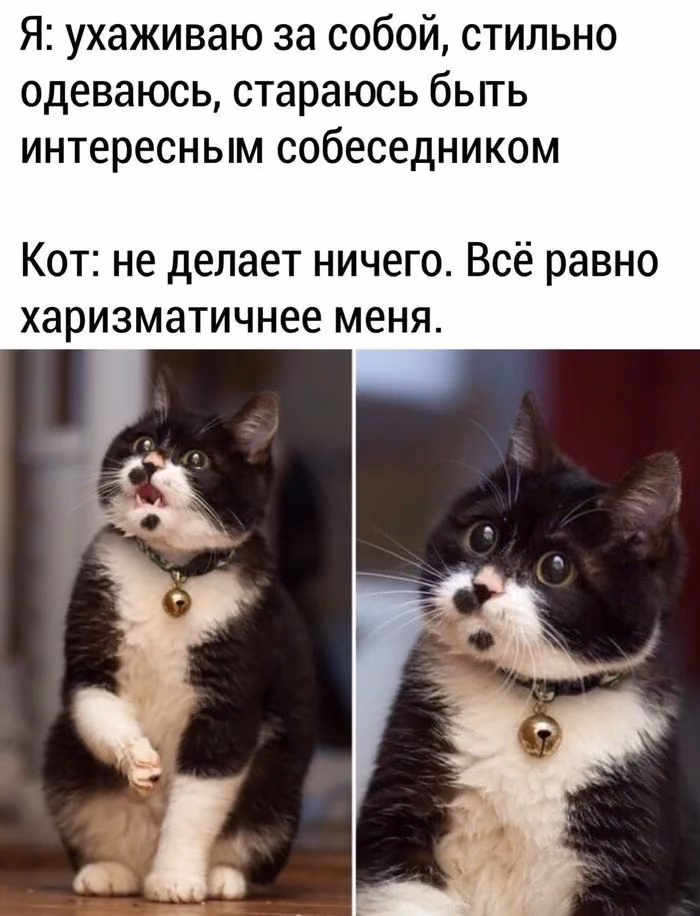 26570d19df6c5b3cde2c1ce3a24313b5.avif