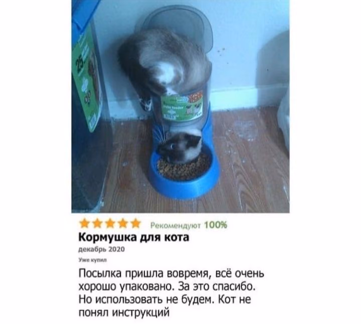 267cb6c30f5b6491776a9807b1696925.avif