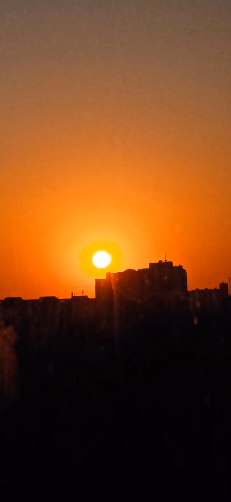 268029321b8d6b163cd8c990bcd154f0.jpg