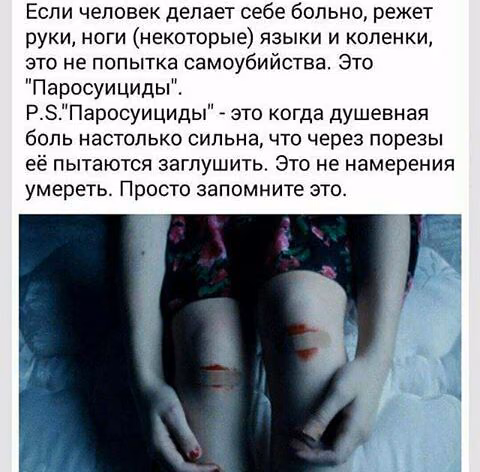 26848f48fe135cf58336670ca2cdaed5.jpg
