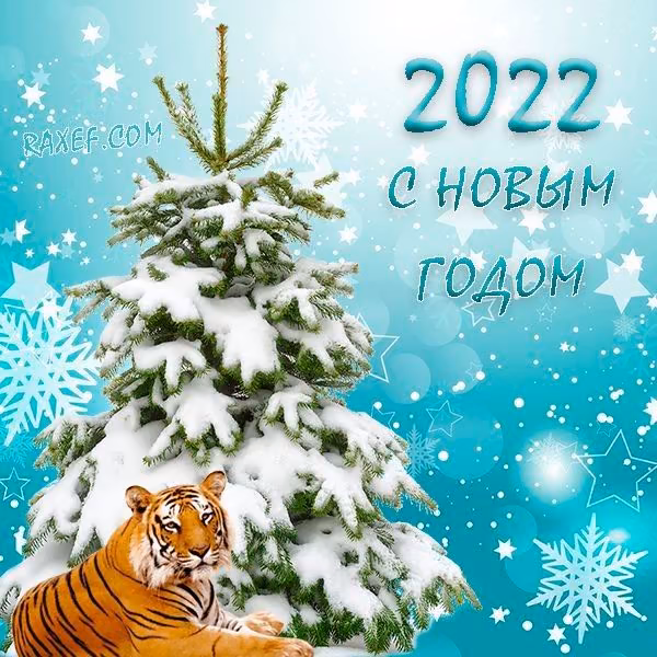 268d7ba374b0b8c18602c5a29c99bc93.avif