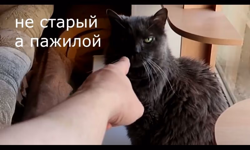 26974551a49993f49cefd5924db63107.avif