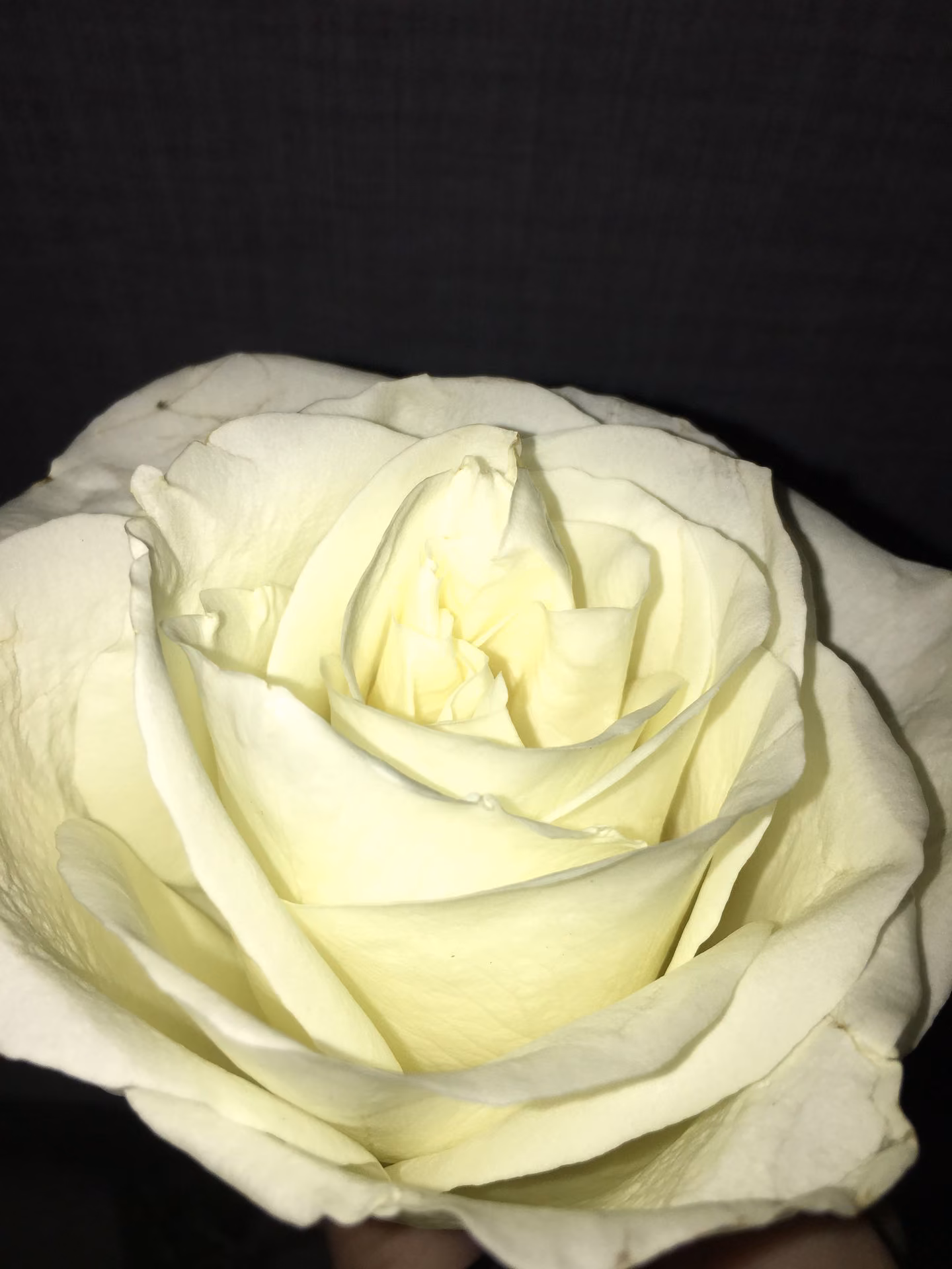 26d5b96a2ca061a2d9fde78938bc791f.jpg