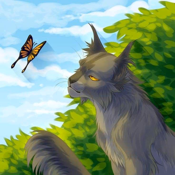26ff52af38b8bc2b0c5d5b8b7f2bc8f3.jpg