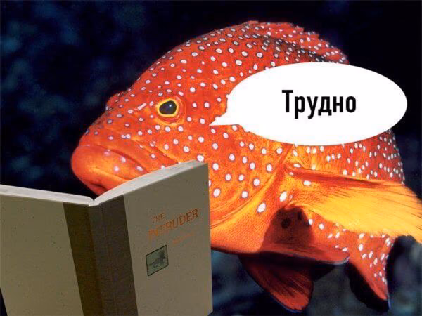 271a924f0d4fb85676451dd6acfba8d0.jpg