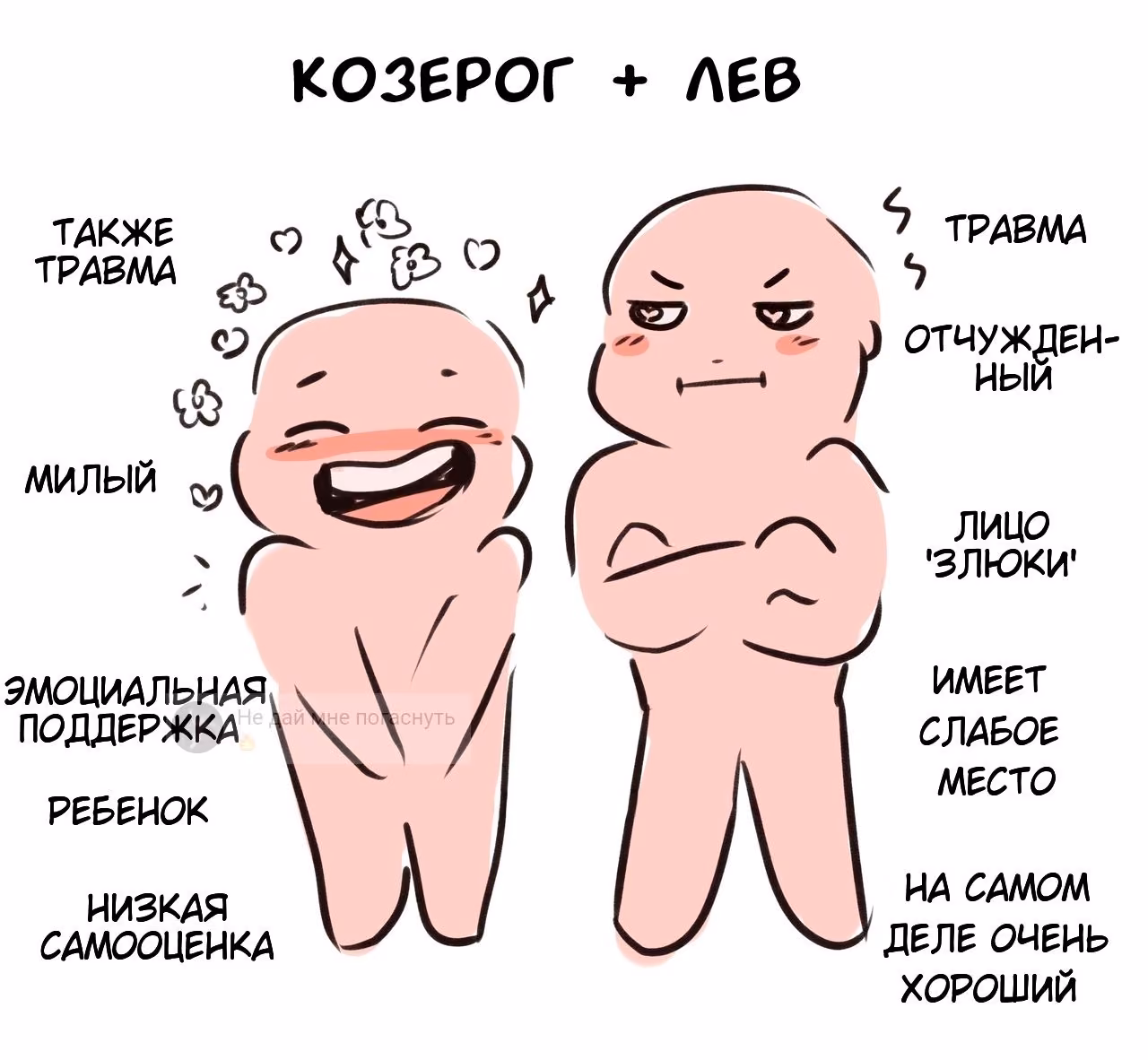 271c0d2dd9314e501e3db70288c5e840.avif