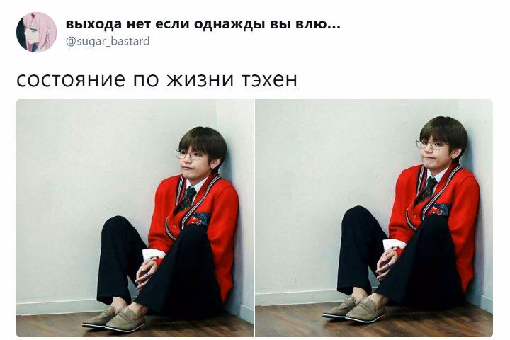 271ca27656d6e01436a8616244af0fbb.avif