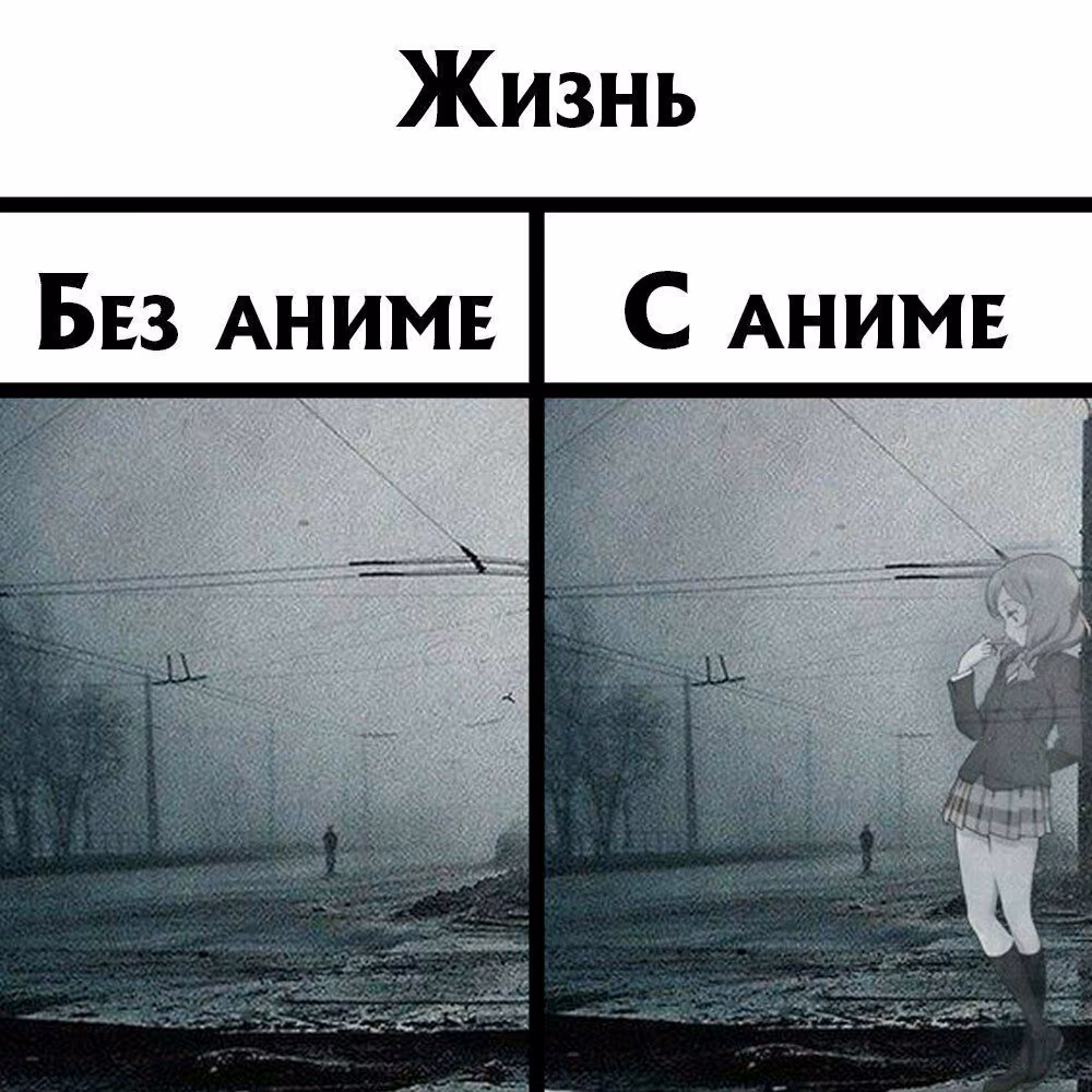 271fa274172e91803e3a81c9ecd0c5b2.jpg
