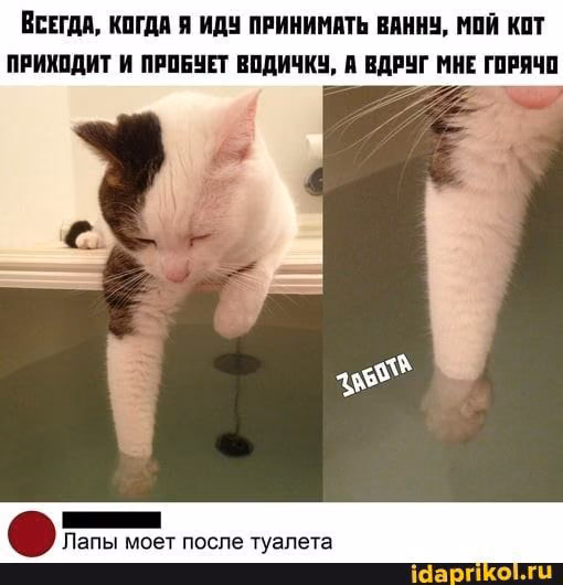 272a7fa266b5b51adb5cfbf45707cffa.avif