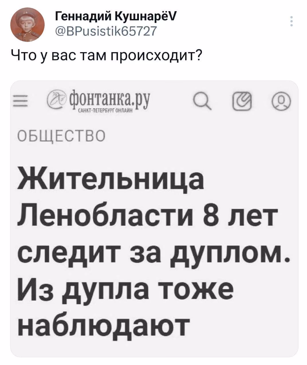 2731d50dbb349fb1a997f38d7557a774.avif