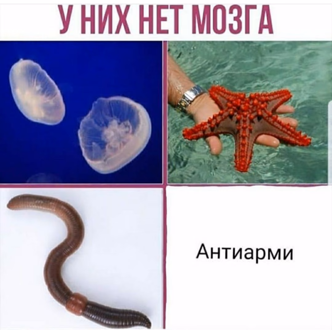 27393ad9c8bb99ae31dd0f01588e8cd5.jpg