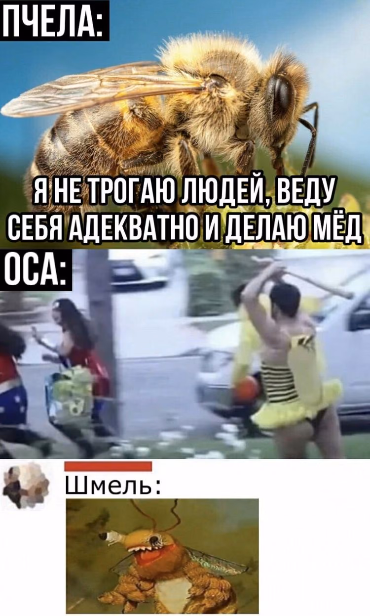 273c6b8e7bdfb9cf13016733404e291f.jpg