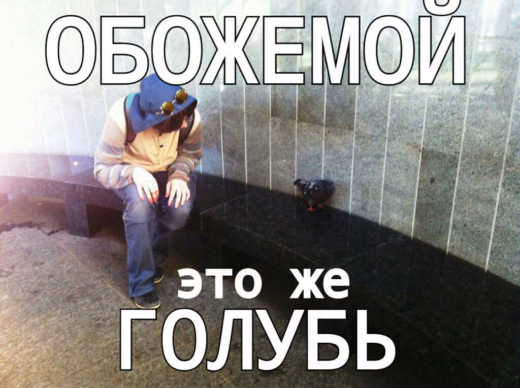 2742233197745911b8b3c295378028d8.jpg