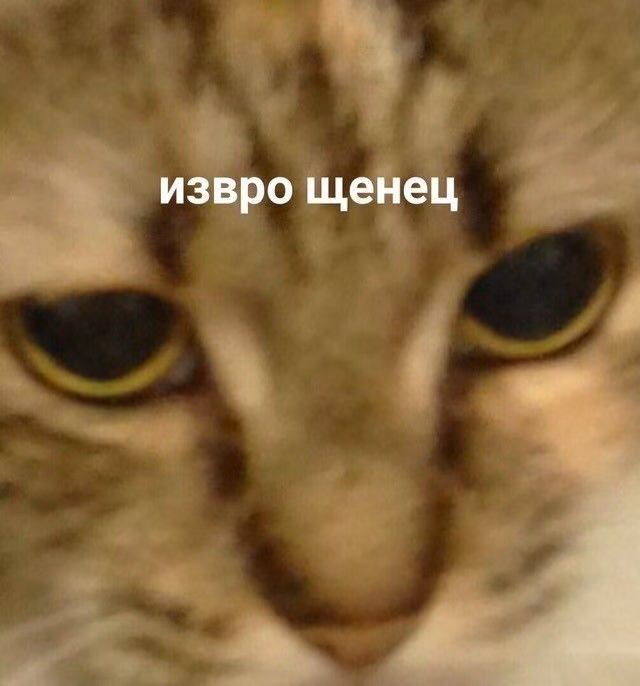 274bdfca8460daea1d35b78baf639839.jpg