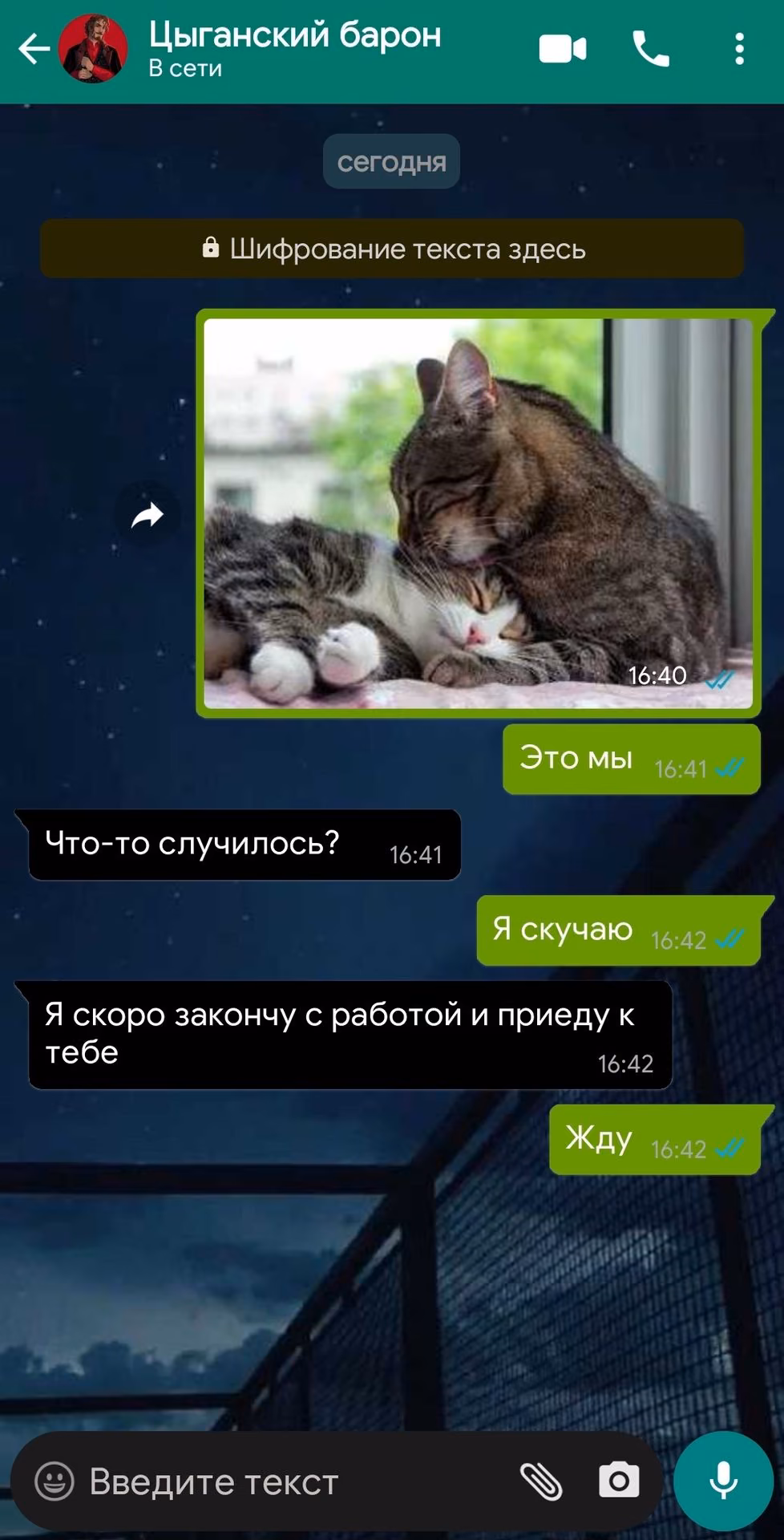27534143d824721166a688cada9ba57c.avif