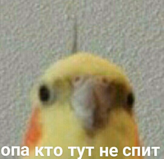 27664f8848d57bc5bb4c03d48348be30.jpg