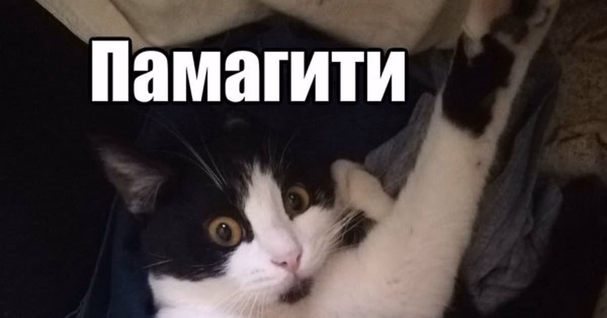278e1c50d7edd0a9ca06436a1e6ad038.jpg