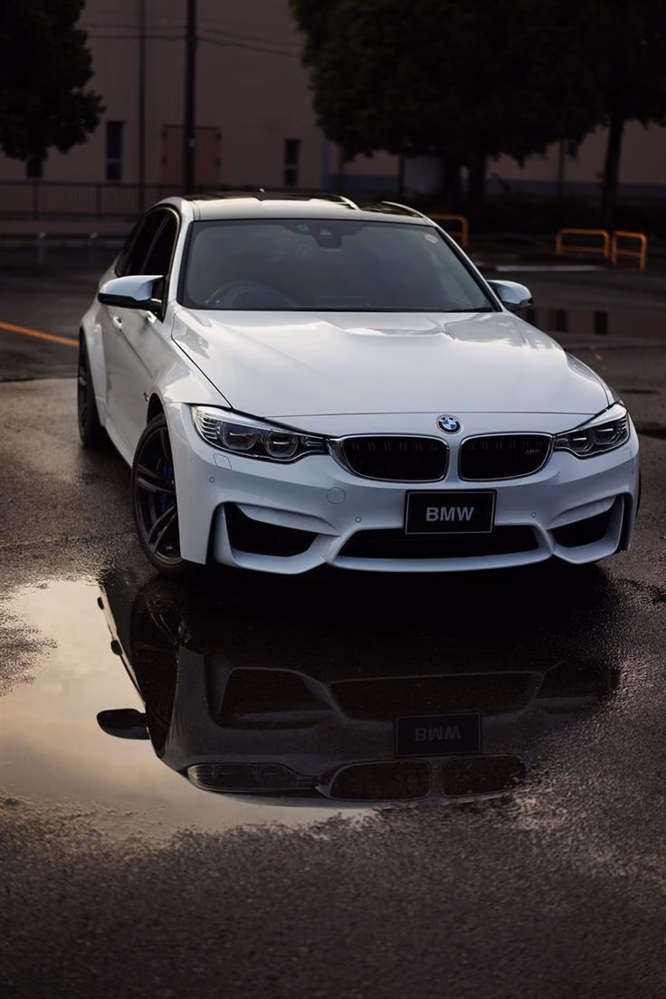279fd2bb81a06fc3896525bc2119f320.jpg
