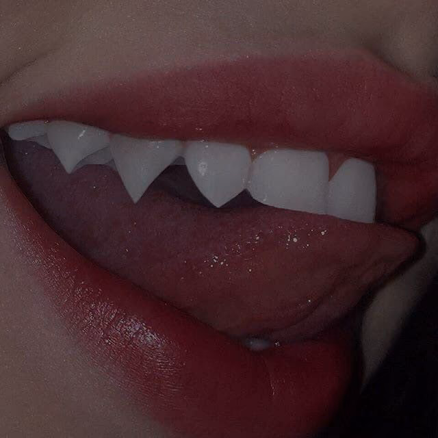 27a38df436754c5cbbd5586696295164.avif