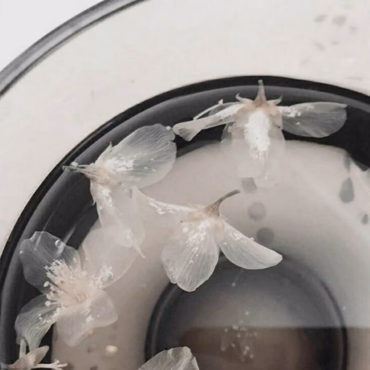 27c6c6ab8a2d578c9011cc378166c61c.jpg