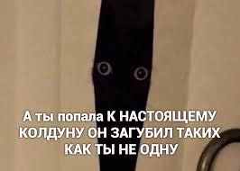 27dbfab21d35b6efa4c92d6ccb92388b.avif