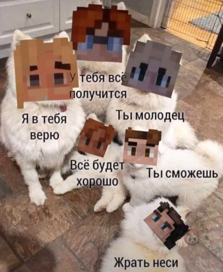 27ded26b0f41f038fd17cffa44c8b83b.avif