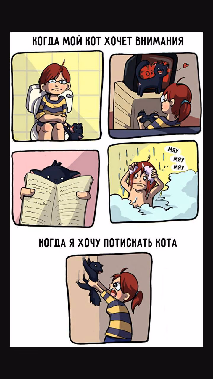 27e8076745fb6ac68fe40cfae65bafb8.jpg