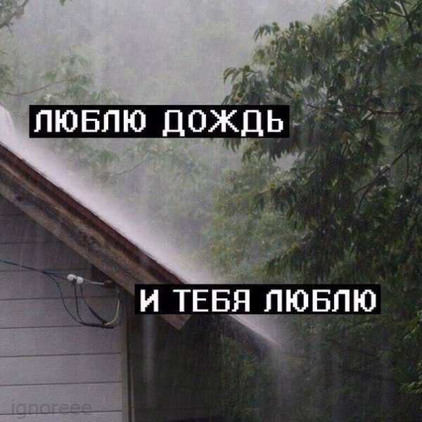 27fece2f44cc40164022daf393b09378.jpg