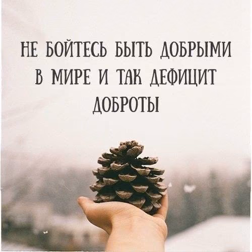280c8cd1d114ecb76d1353d260c69044.jpg
