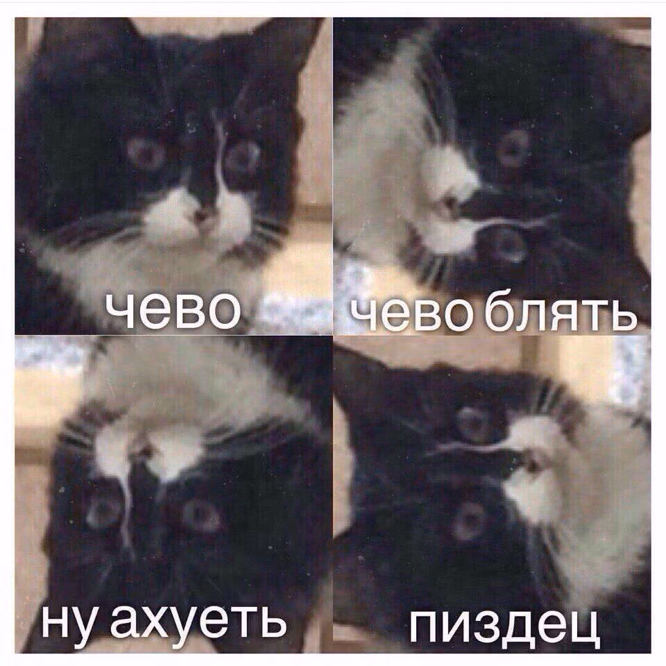 281bd6733a80e9dc3dffadd99b6ba857.avif