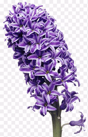 281e7b7a1e25103c4be3887cd8c3869a.avif