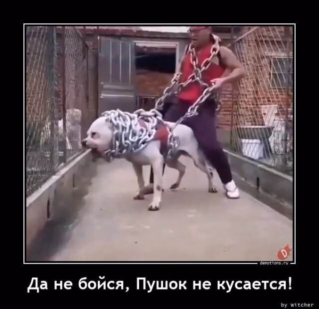28325c751dae898757c5f9737e29dd68.jpg