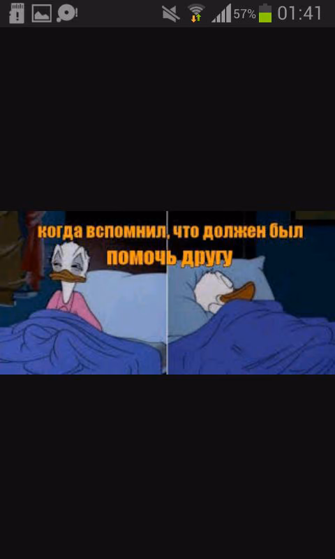 28784db8cd43e84c36e310701b3fc0d8.jpg