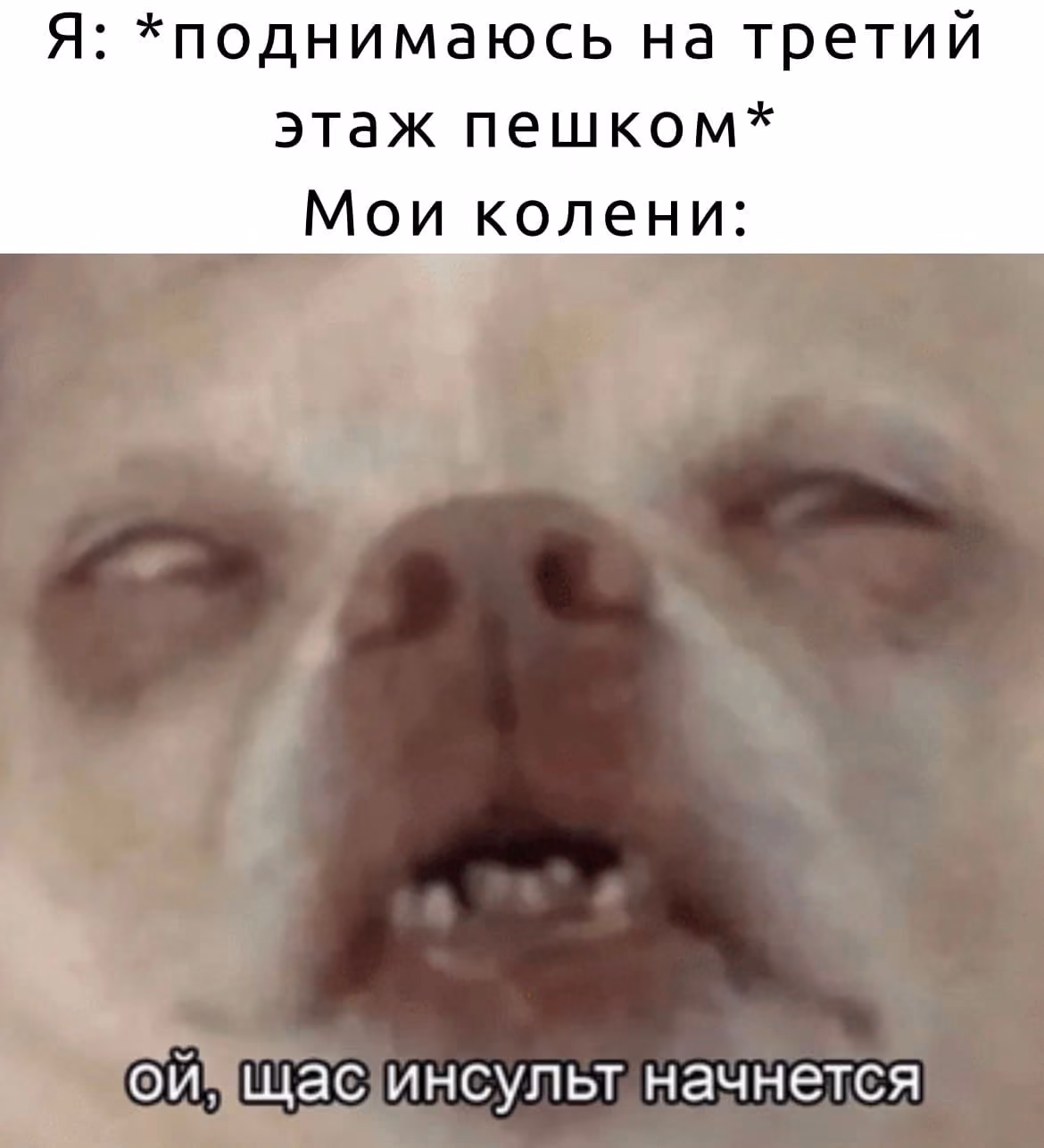 288f9794f4f0ba387ef931c4496669f1.avif