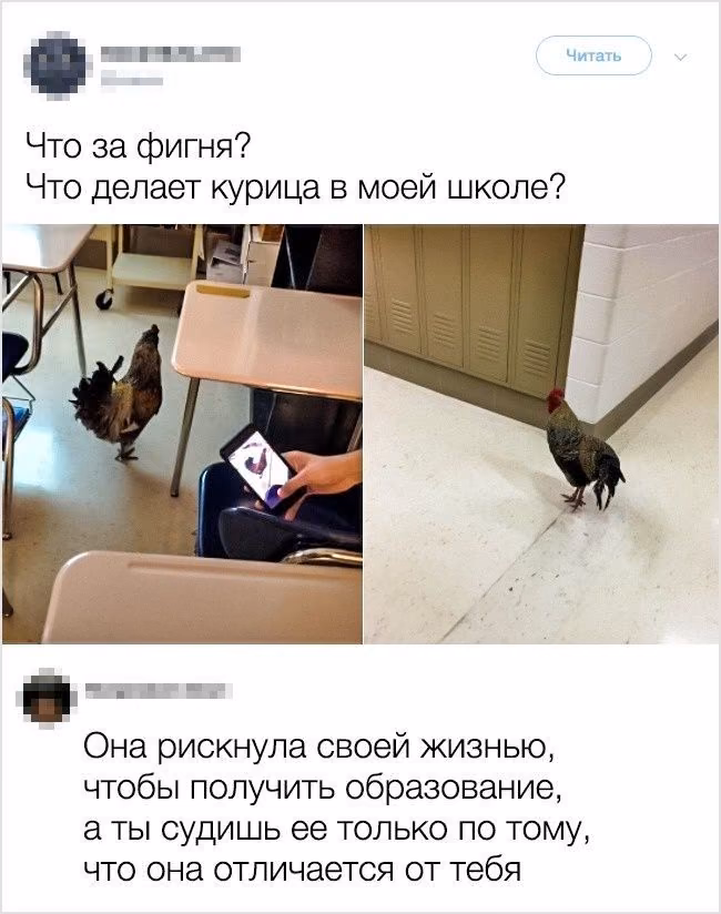 28944fe99214525abb2c75769604c2d0.avif