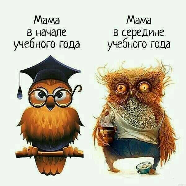 28a0891eb6b6aa73f659ab08efbcdf92.jpg