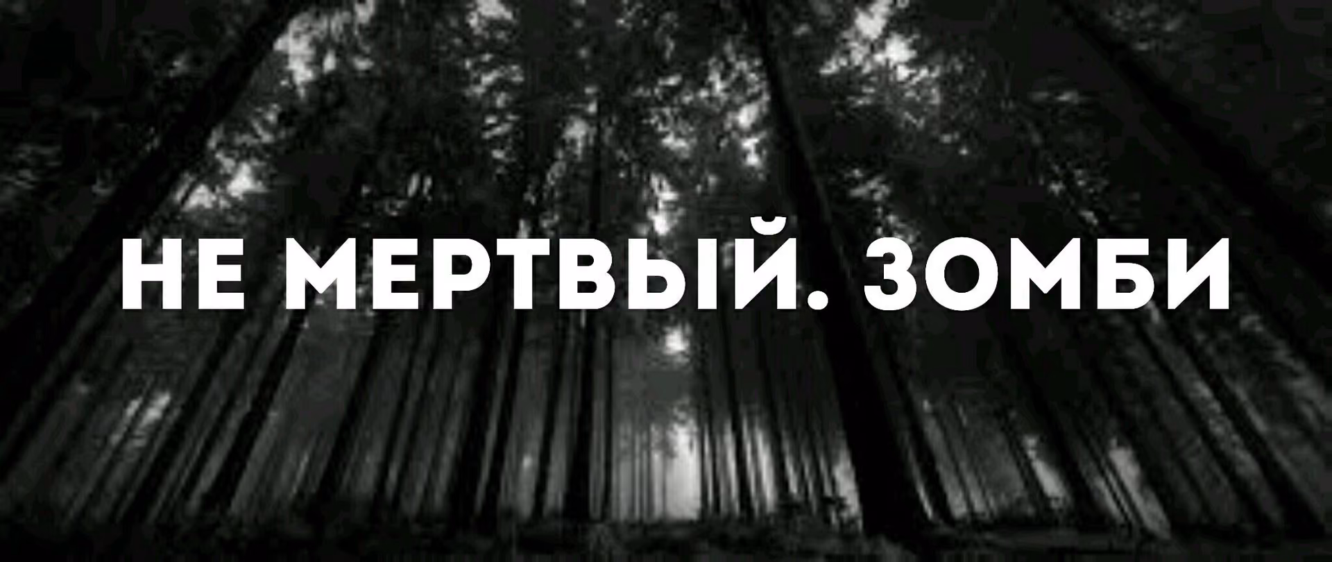 28a3b9ac3789978b19455dd658fd854f.jpg