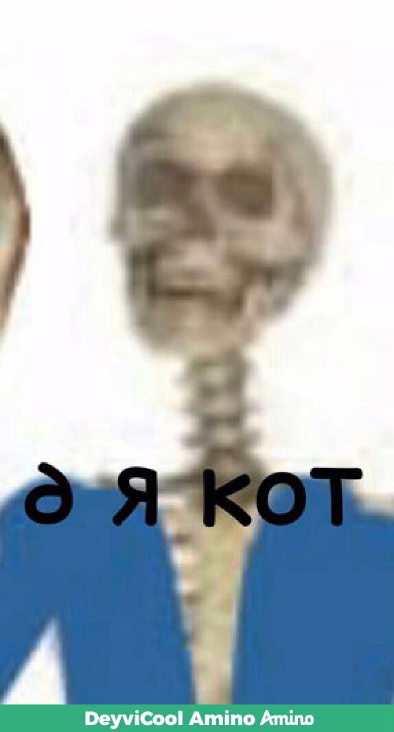 28b06fb20b0fbeaab4525f2341ea5674.jpg